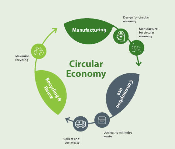 Graphic simulating the circular economy at Hargreaves